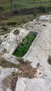 Necropoli Poggio Mieta